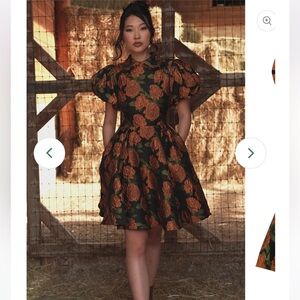 NWT JessaKae Sylvie Dress Size XS